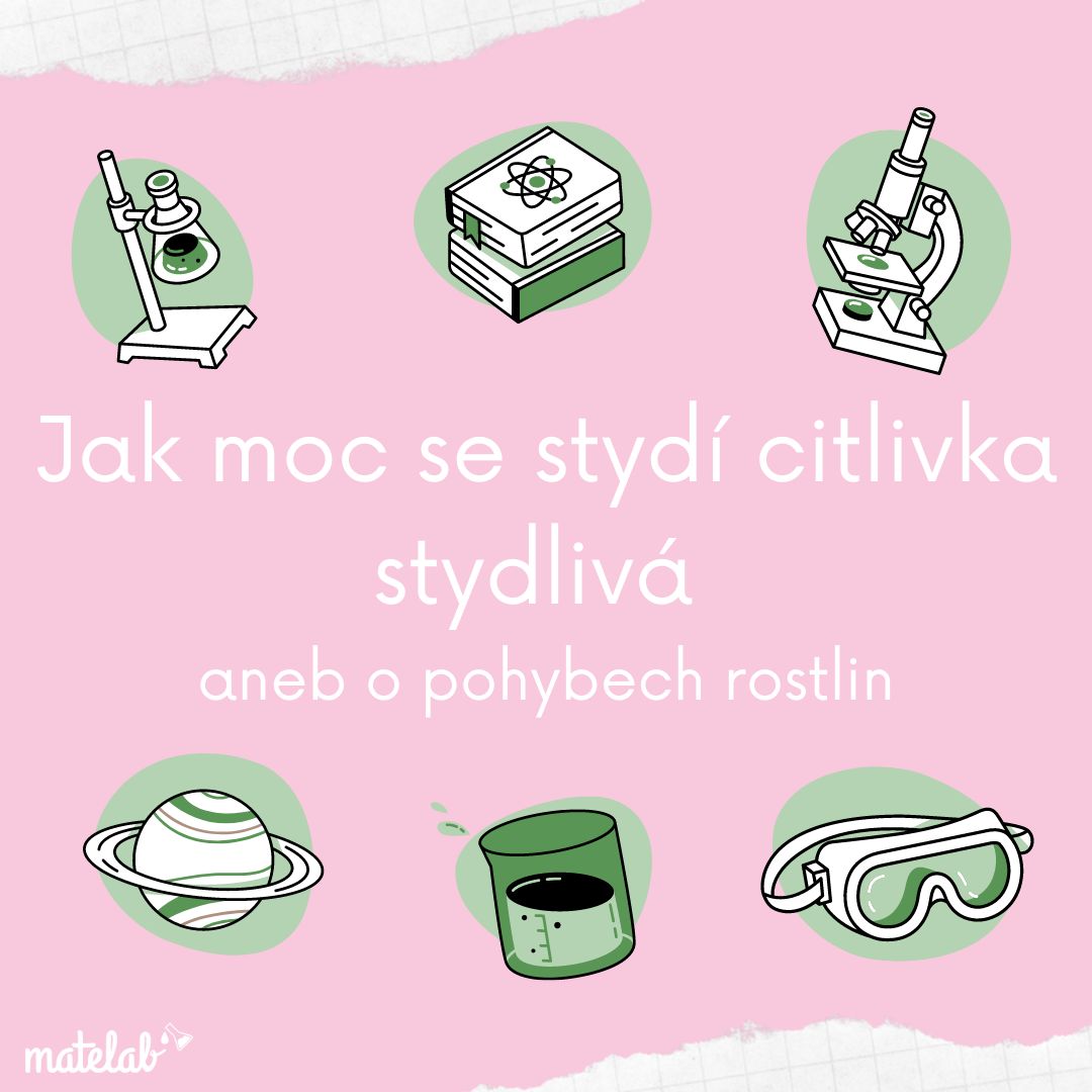 Jak moc se stydí citlivka stydlivá aneb o pohybech rostlin - Matelab